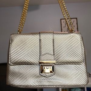 ✨Gold Aldo Purse✨